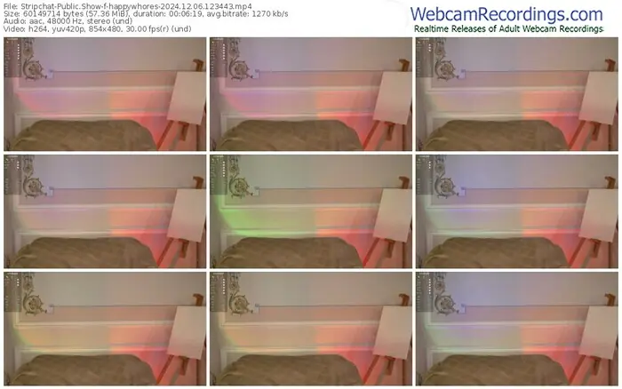 2024/12/06/stripchat-happywhores-12-34-43