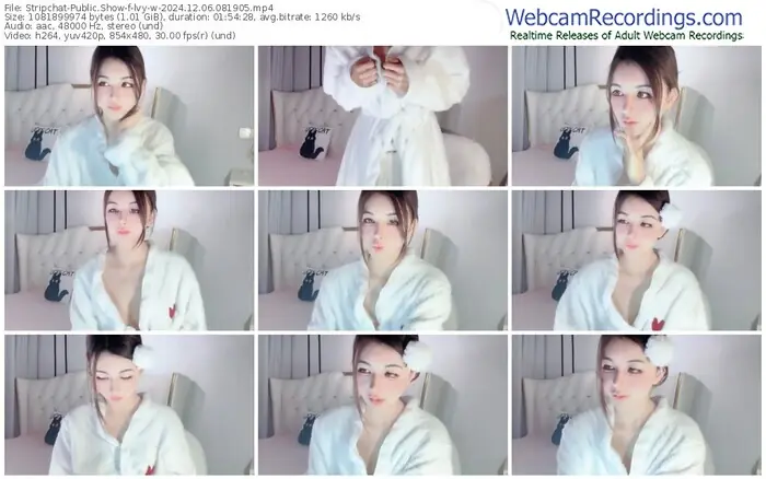 2024/12/06/stripchat-lvy-w-08-19-05