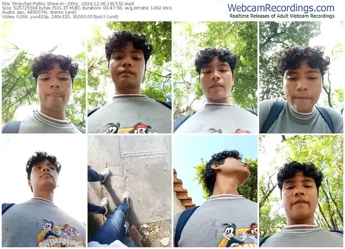 2024/12/06/stripchat-_ottis_-19-15-32
