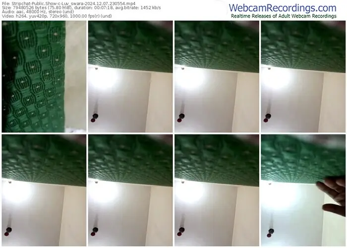 2024/12/07/stripchat-luv_swara-23-05-54