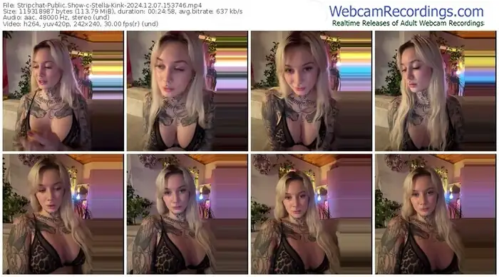 2024/12/07/stripchat-stella-kink-15-37-46