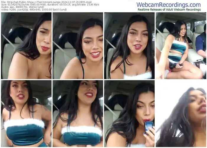 2024/12/07/stripchat-thecrimsonlounge-21-28-35