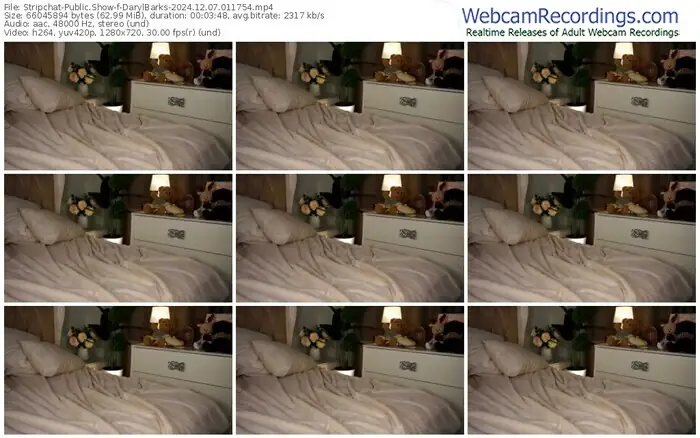 2024/12/07/stripchat-darylbarks-01-17-54