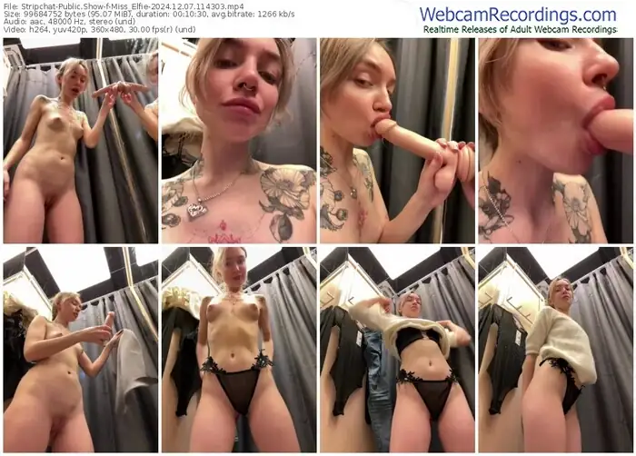 2024/12/07/stripchat-miss_elfie-11-43-03