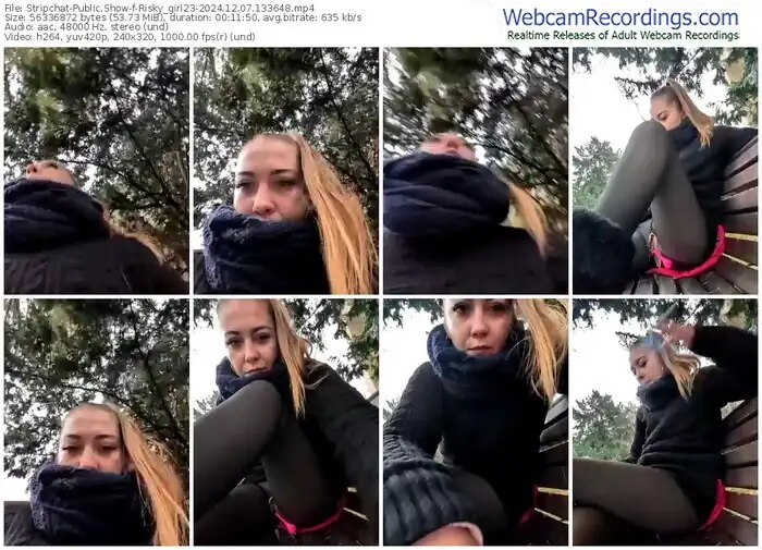 2024/12/07/stripchat-risky_girl23-13-36-48