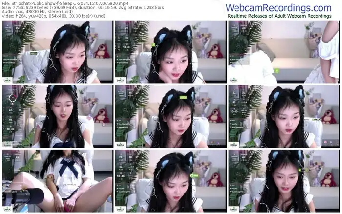 2024/12/07/stripchat-sheep-1-06-58-20