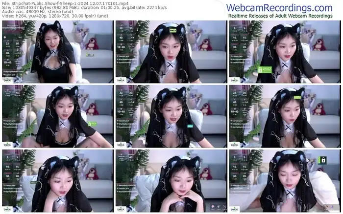 2024/12/07/stripchat-sheep-1-17-01-01