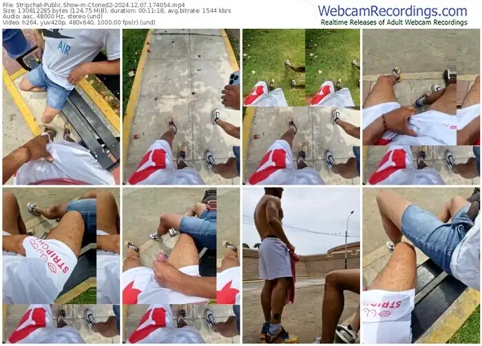 2024/12/07/stripchat-ctoned2-17-40-54