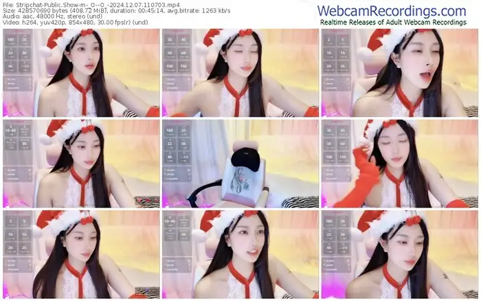 2024/12/07/stripchat-_o--o_-11-07-03