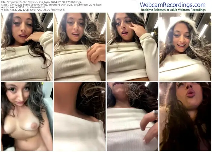 2024/12/08/stripchat-lina_twin-17-00-03