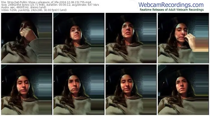 2024/12/08/stripchat-pleasure_of_life-15-17-55