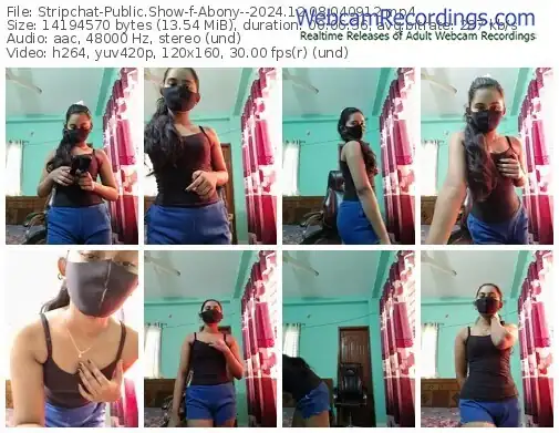 2024/12/08/stripchat-abony--04-09-12