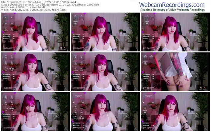 2024/12/08/stripchat-asa_u-15-08-54