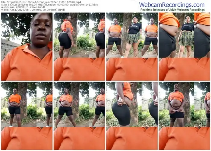 2024/12/08/stripchat-broan_me-11-09-40