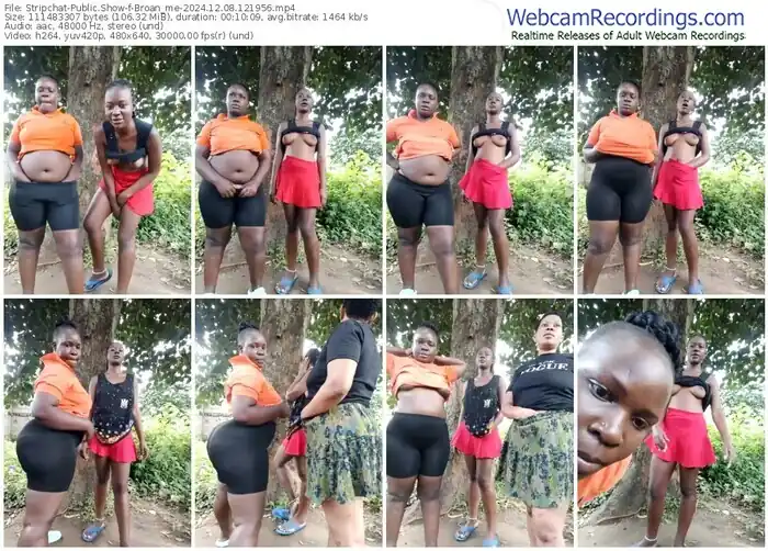 2024/12/08/stripchat-broan_me-12-19-56