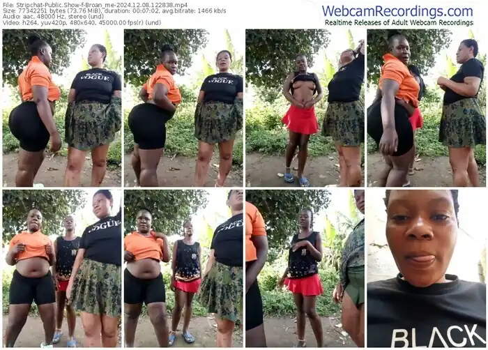 2024/12/08/stripchat-broan_me-12-28-38