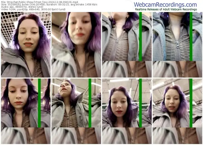 2024/12/08/stripchat-frost_foxy-09-41-01