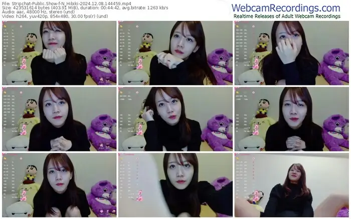 2024/12/08/stripchat-n_hibiki-14-44-59