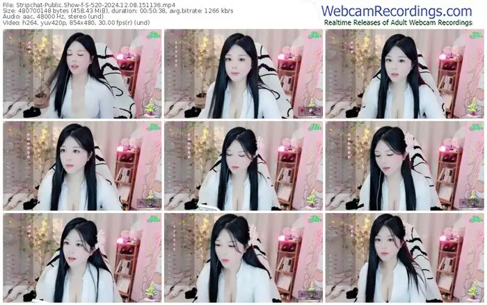 2024/12/08/stripchat-s-520-15-11-36