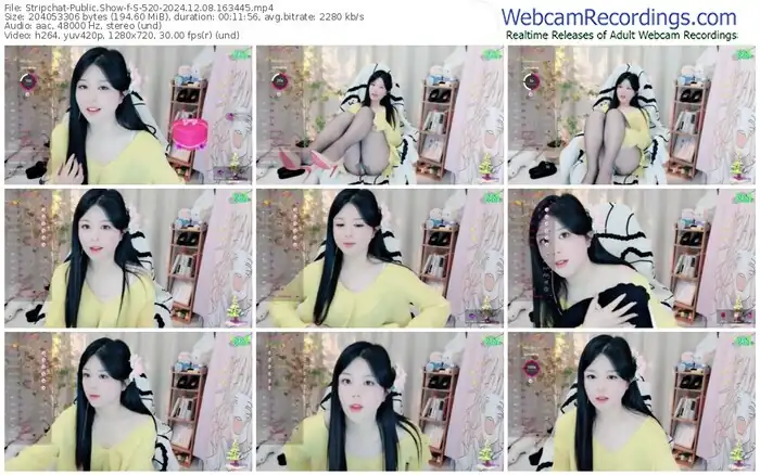 2024/12/08/stripchat-s-520-16-34-45