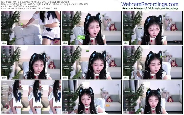 2024/12/08/stripchat-sheep-1-14-15-19