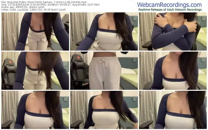 2024/12/08/stripchat-wild_fantasy_7-20-44-40