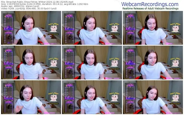 2024/12/08/stripchat-wise_whiter-15-24-05