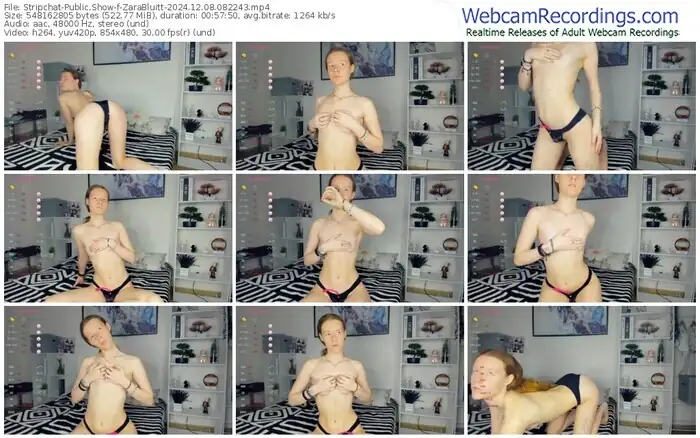 2024/12/08/stripchat-zarabluitt-08-22-43