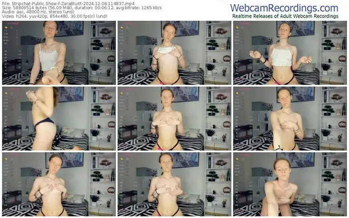 2024/12/08/stripchat-zarabluitt-11-48-37