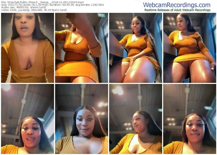 2024/12/08/stripchat-__nessa__-12-33-23