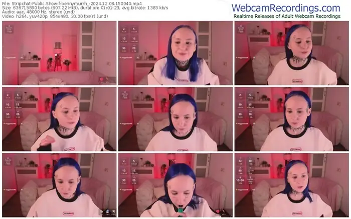 2024/12/08/stripchat-bennymurrh_-15-00-40