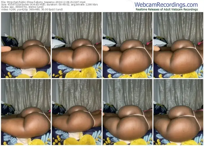 2024/12/08/stripchat-ebony_teaserxx-21-22-47