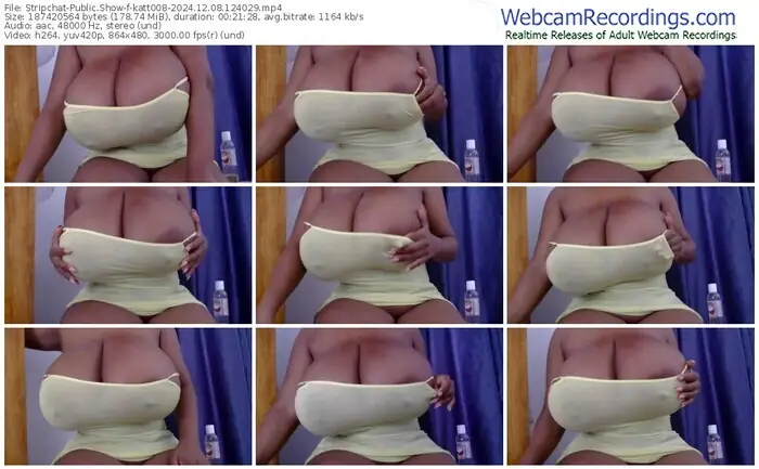 2024/12/08/stripchat-katt008-12-40-29