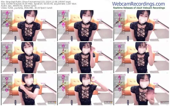 2024/12/08/stripchat-minamina1221-19-59-47