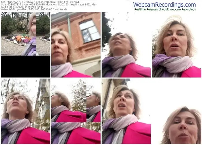 2024/12/08/stripchat-stellahere8-12-11-29
