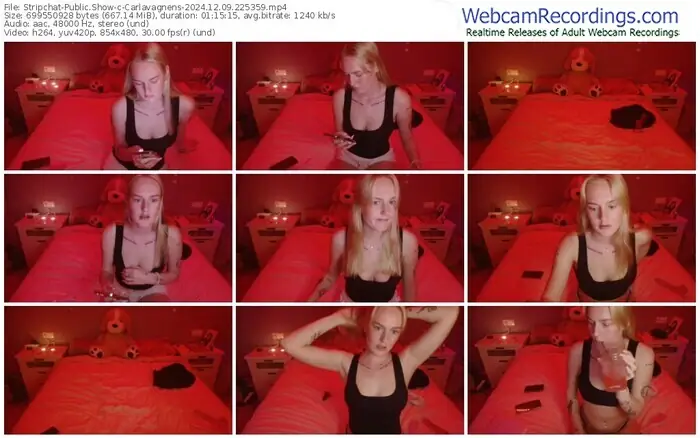 2024/12/09/stripchat-carlavagnens-22-53-59