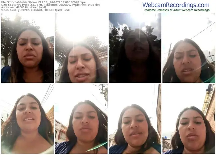 2024/12/09/stripchat-dulce__26-16-59-48