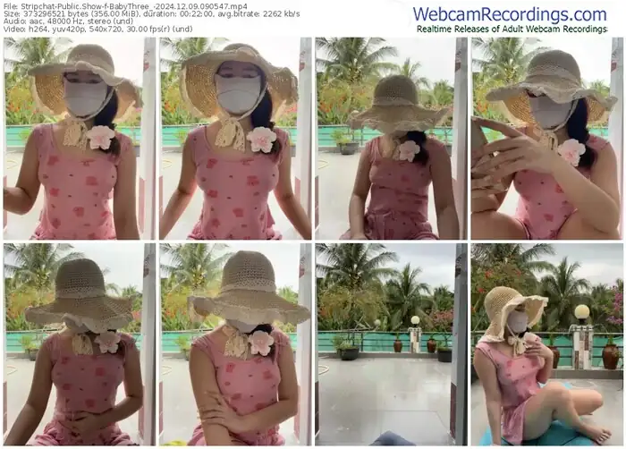 2024/12/09/stripchat-babythree_-09-05-47