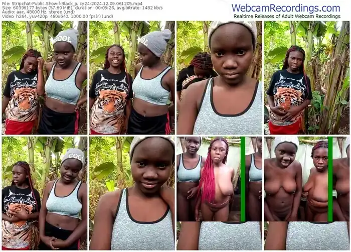 2024/12/09/stripchat-black_juicy24-06-12-05