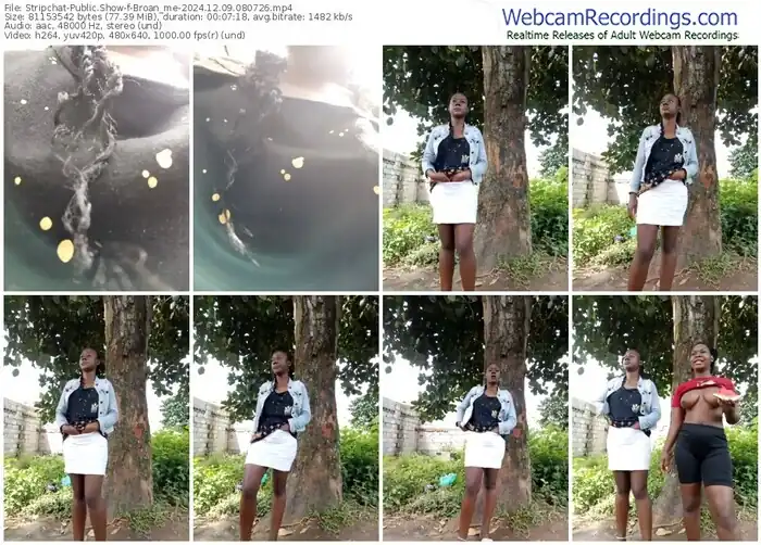 2024/12/09/stripchat-broan_me-08-07-26