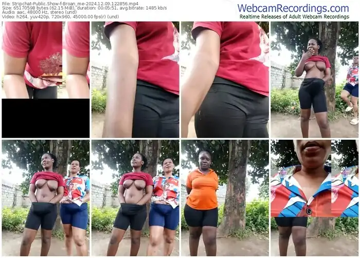 2024/12/09/stripchat-broan_me-12-28-56