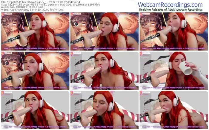 2024/12/09/stripchat-nancy_lu-20-03-47