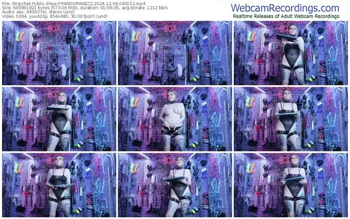 2024/12/09/stripchat-pandoranezz-04-01-52