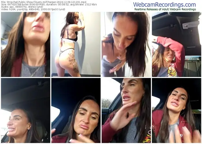 2024/12/09/stripchat-busty-milf-harper-12-12-31