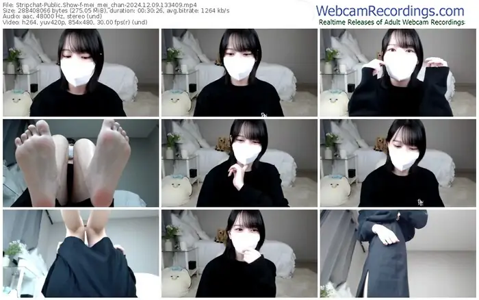 2024/12/09/stripchat-mei_mei_chan-13-34-09