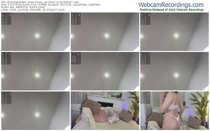 2024/12/09/stripchat-miku_alt-08-32-47