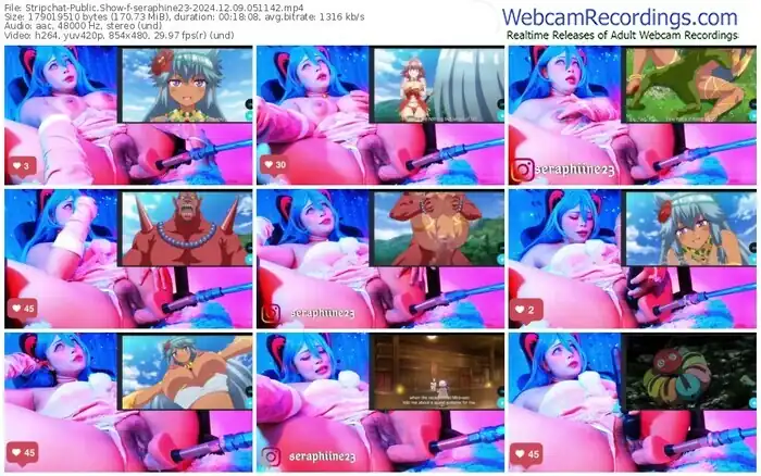 2024/12/09/stripchat-seraphine23-05-11-42