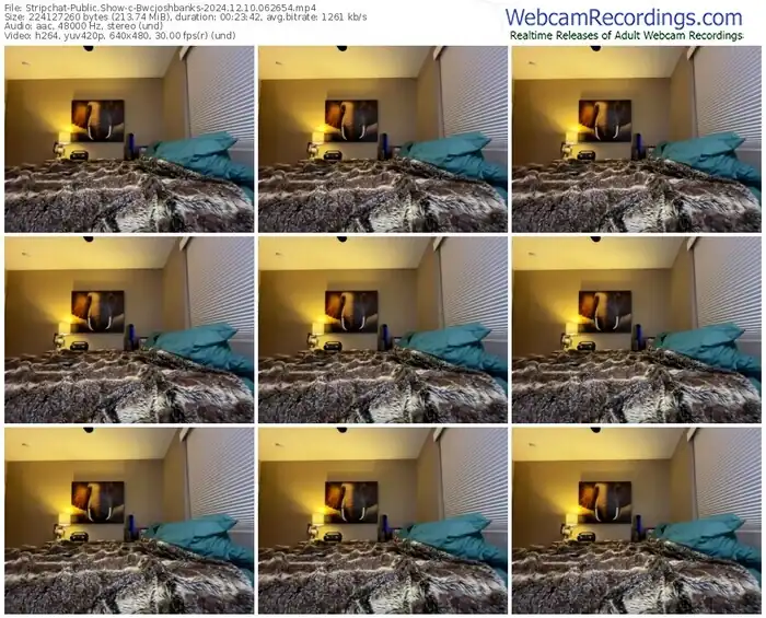 2024/12/10/stripchat-bwcjoshbanks-06-26-54