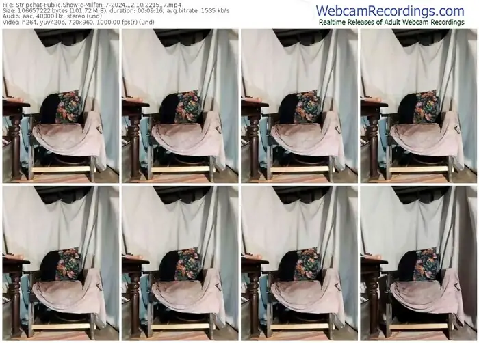 2024/12/10/stripchat-milfen_7-22-15-17