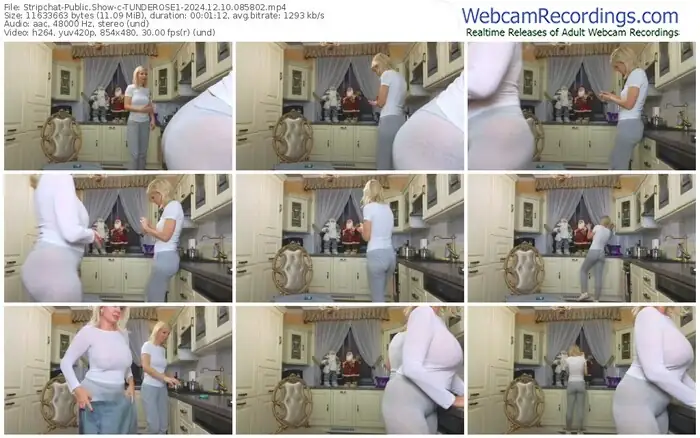 2024/12/10/stripchat-tunderose1-08-58-02